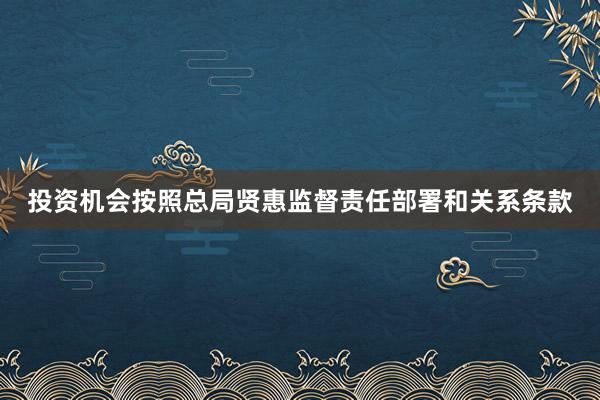 投资机会按照总局贤惠监督责任部署和关系条款