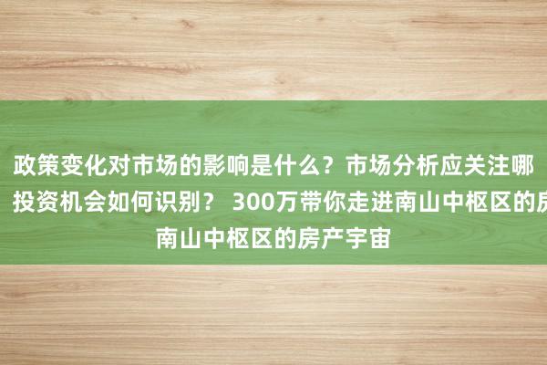 政策变化对市场的影响是什么？市场分析应关注哪些数据？投资机会如何识别？ 300万带你走进南山中枢区的房产宇宙