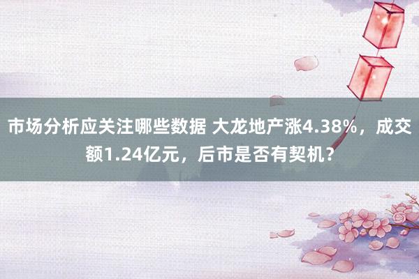 市场分析应关注哪些数据 大龙地产涨4.38%，成交额1.24亿元，后市是否有契机？