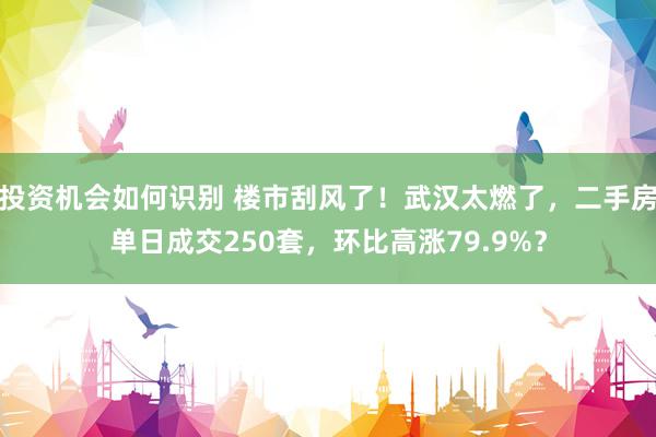 投资机会如何识别 楼市刮风了！武汉太燃了，二手房单日成交250套，环比高涨79.9%？