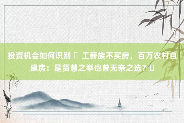 投资机会如何识别 ‌工薪族不买房，百万农村自建房：是贤慧之举也曾无奈之选？‌