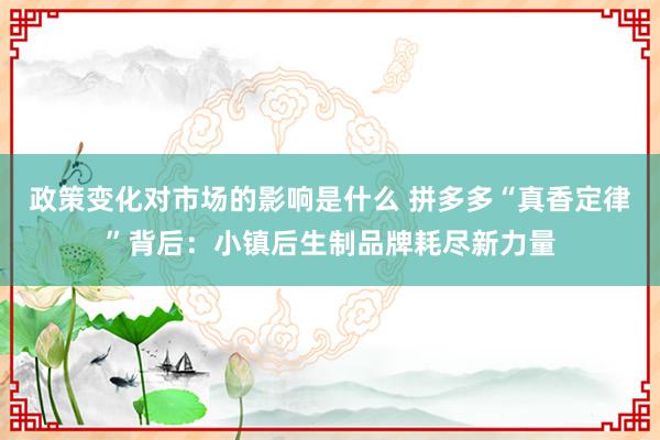 政策变化对市场的影响是什么 拼多多“真香定律”背后：小镇后生制品牌耗尽新力量