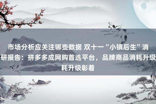 市场分析应关注哪些数据 双十一“小镇后生”消耗调研报告：拼多多成网购首选平台，品牌商品消耗升级彰着