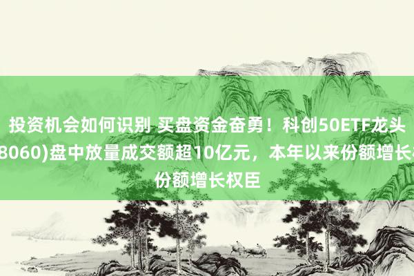 投资机会如何识别 买盘资金奋勇！科创50ETF龙头(588060)盘中放量成交额超10亿元，本年以来份额增长权臣