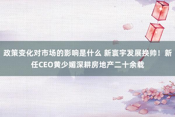 政策变化对市场的影响是什么 新寰宇发展换帅！新任CEO黄少媚深耕房地产二十余载