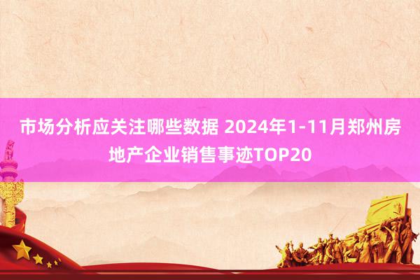 市场分析应关注哪些数据 2024年1-11月郑州房地产企业销售事迹TOP20