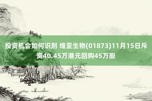 投资机会如何识别 维亚生物(01873)11月15日斥资40.45万港元回购45万股