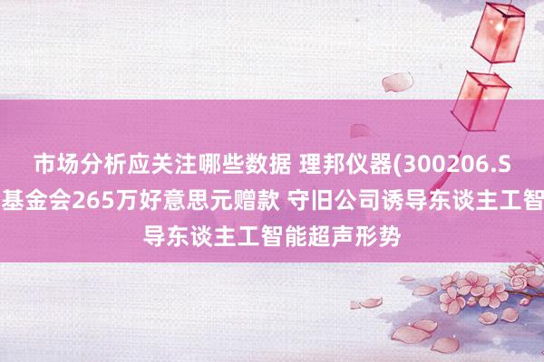 市场分析应关注哪些数据 理邦仪器(300206.SZ)：获盖茨基金会265万好意思元赠款 守旧公司诱导东谈主工智能超声形势