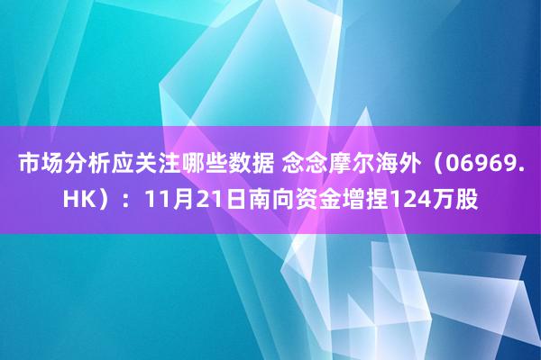 市场分析应关注哪些数据 念念摩尔海外（06969.HK）：11月21日南向资金增捏124万股