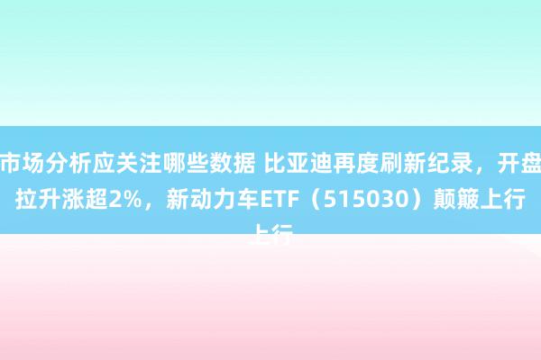 市场分析应关注哪些数据 比亚迪再度刷新纪录，开盘拉升涨超2%，新动力车ETF（515030）颠簸上行