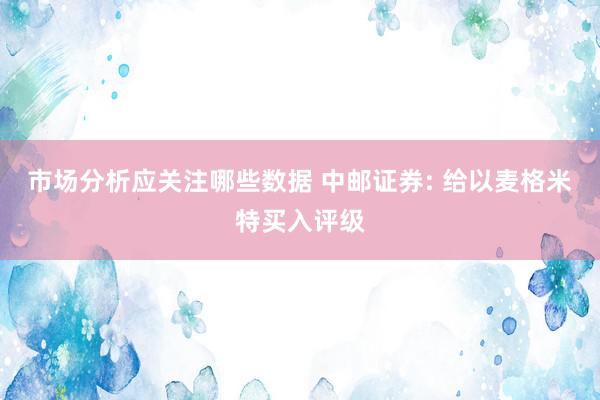 市场分析应关注哪些数据 中邮证券: 给以麦格米特买入评级