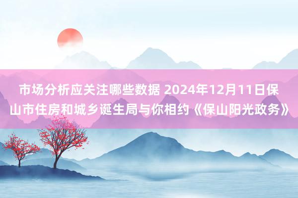 市场分析应关注哪些数据 2024年12月11日保山市住房和城乡诞生局与你相约《保山阳光政务》