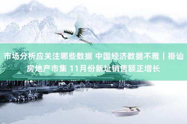 市场分析应关注哪些数据 中国经济数据不雅丨褂讪房地产市集 11月份新址销售额正增长