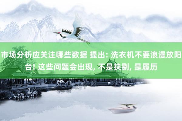 市场分析应关注哪些数据 提出: 洗衣机不要浪漫放阳台! 这些问题会出现, 不是抉剔, 是履历