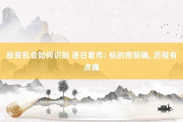 投资机会如何识别 逐日看市: 标的很明确, 历程有点痛