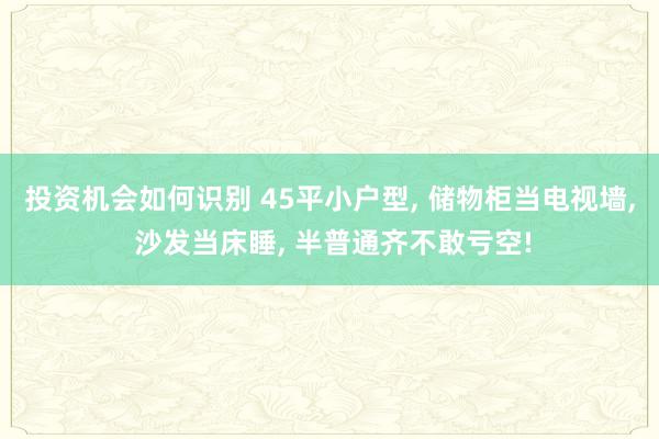 投资机会如何识别 45平小户型, 储物柜当电视墙, 沙发当床睡, 半普通齐不敢亏空!