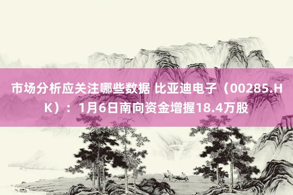 市场分析应关注哪些数据 比亚迪电子（00285.HK）：1月6日南向资金增握18.4万股