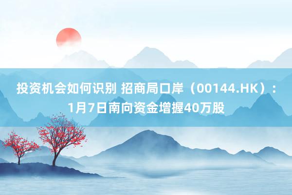 投资机会如何识别 招商局口岸（00144.HK）：1月7日南向资金增握40万股