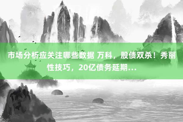 市场分析应关注哪些数据 万科，股债双杀！秀丽性技巧，20亿债务延期…