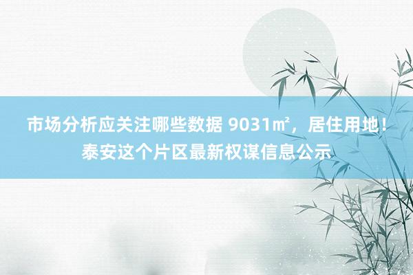 市场分析应关注哪些数据 9031㎡，居住用地！泰安这个片区最新权谋信息公示