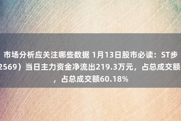 市场分析应关注哪些数据 1月13日股市必读：ST步森（002569）当日主力资金净流出219.3万元，占总成交额60.18%