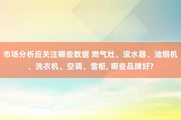 市场分析应关注哪些数据 燃气灶、滚水器、油烟机、洗衣机、空调、雪柜, 哪些品牌好?