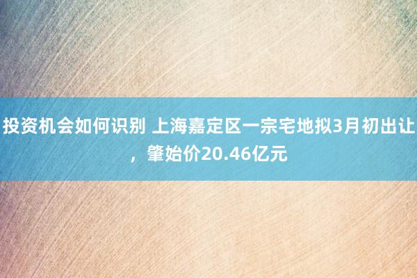 投资机会如何识别 上海嘉定区一宗宅地拟3月初出让，肇始价20.46亿元