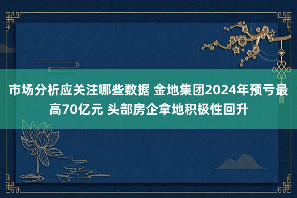 市场分析应关注哪些数据 金地集团2024年预亏最高70亿元 头部房企拿地积极性回升