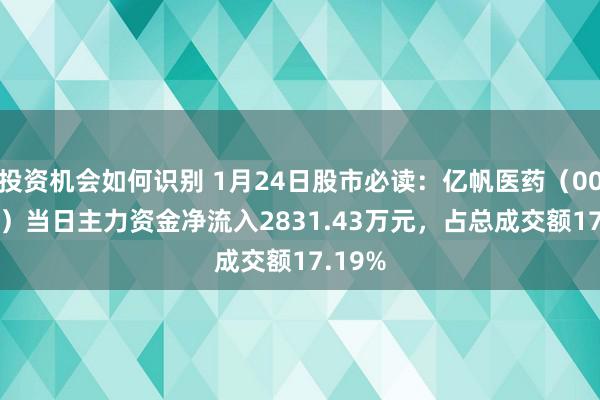 投资机会如何识别 1月24日股市必读：亿帆医药（002019）当日主力资金净流入2831.43万元，占总成交额17.19%