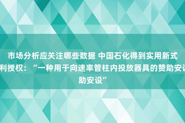 市场分析应关注哪些数据 中国石化得到实用新式专利授权：“一种用于向速率管柱内投放器具的赞助安设”