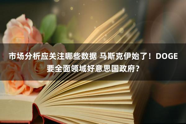 市场分析应关注哪些数据 马斯克伊始了！DOGE要全面领域好意思国政府？