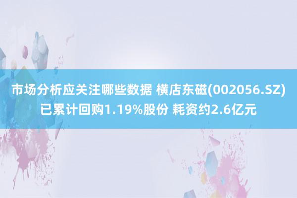 市场分析应关注哪些数据 横店东磁(002056.SZ)已累计回购1.19%股份 耗资约2.6亿元