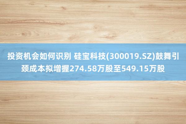 投资机会如何识别 硅宝科技(300019.SZ)鼓舞引颈成本拟增握274.58万股至549.15万股