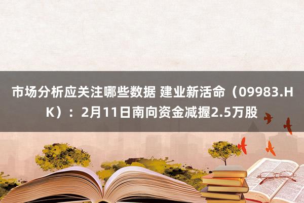 市场分析应关注哪些数据 建业新活命（09983.HK）：2月11日南向资金减握2.5万股