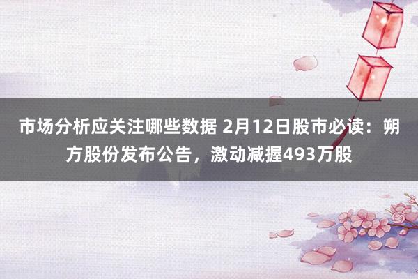 市场分析应关注哪些数据 2月12日股市必读：朔方股份发布公告，激动减握493万股