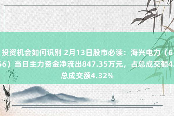 投资机会如何识别 2月13日股市必读：海兴电力（603556）当日主力资金净流出847.35万元，占总成交额4.32%