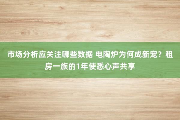 市场分析应关注哪些数据 电陶炉为何成新宠？租房一族的1年使悉心声共享