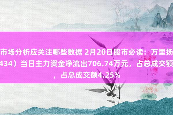 市场分析应关注哪些数据 2月20日股市必读：万里扬（002434）当日主力资金净流出706.74万元，占总成交额4.25%