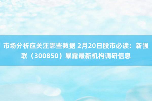 市场分析应关注哪些数据 2月20日股市必读：新强联（300850）暴露最新机构调研信息