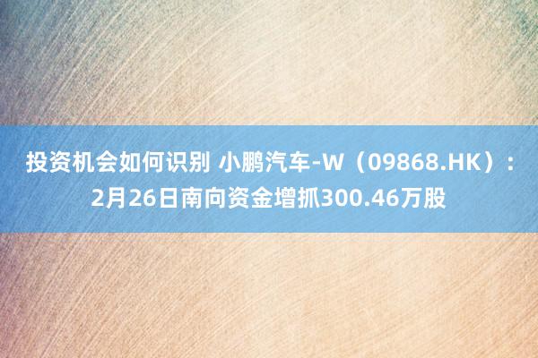 投资机会如何识别 小鹏汽车-W（09868.HK）：2月26日南向资金增抓300.46万股