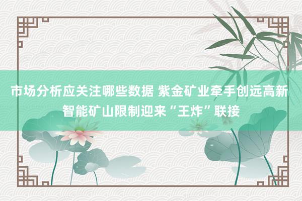 市场分析应关注哪些数据 紫金矿业牵手创远高新 智能矿山限制迎来“王炸”联接