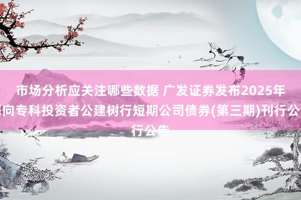 市场分析应关注哪些数据 广发证券发布2025年面向专科投资者公建树行短期公司债券(第三期)刊行公告