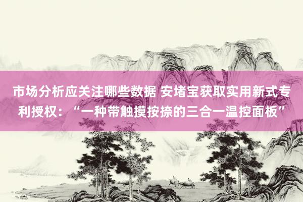 市场分析应关注哪些数据 安堵宝获取实用新式专利授权：“一种带触摸按捺的三合一温控面板”