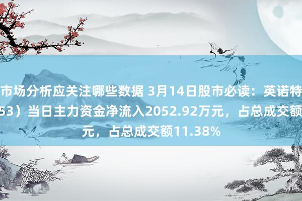 市场分析应关注哪些数据 3月14日股市必读：英诺特（688253）当日主力资金净流入2052.92万元，占总成交额11.38%